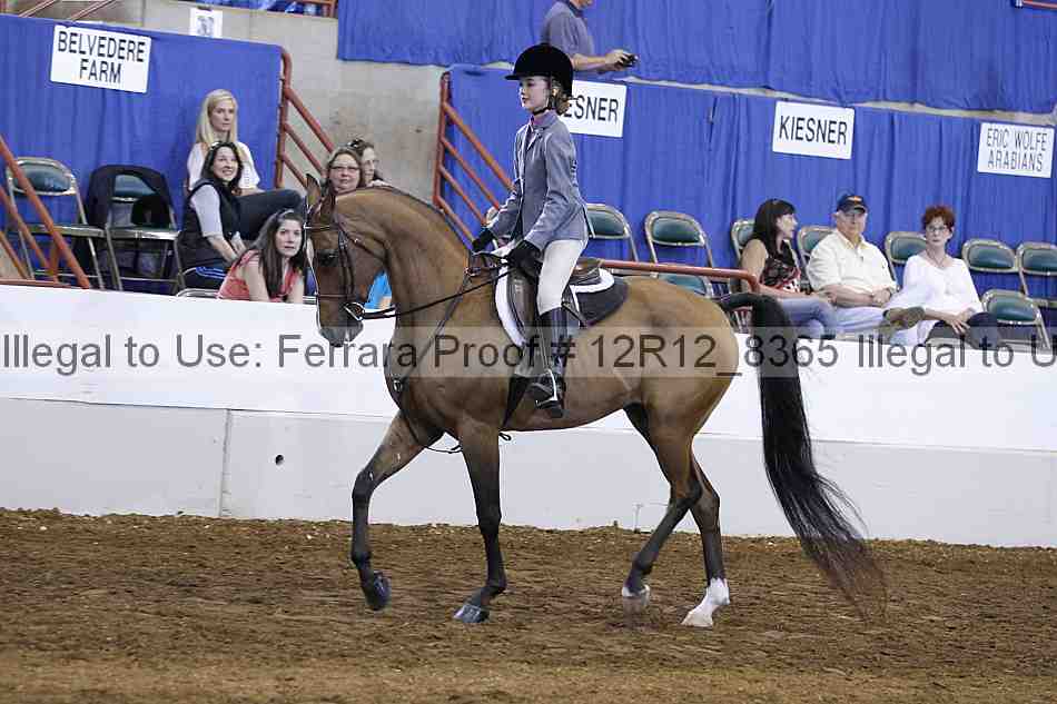 Proof Number 12r12_8365