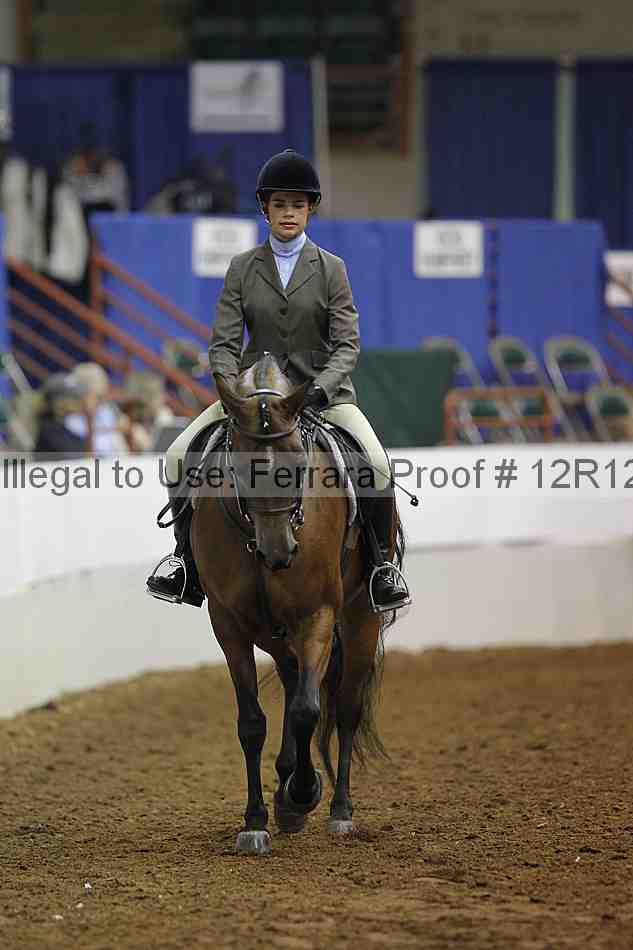 Proof Number 12r12_8372