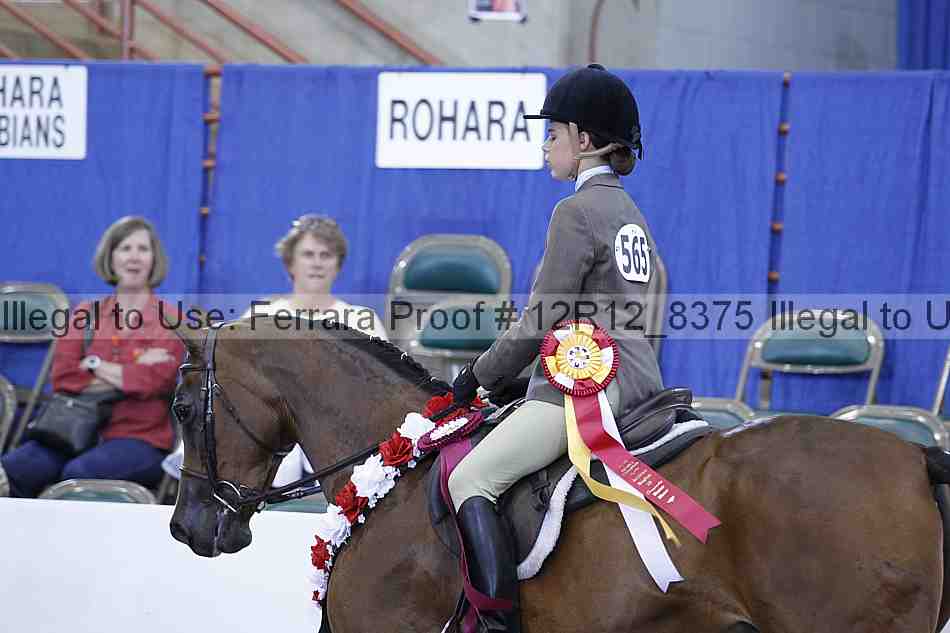 Proof Number 12r12_8375
