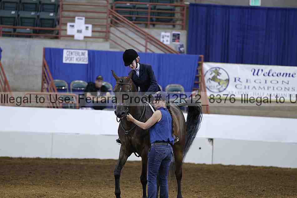 Proof Number 12r12_8376