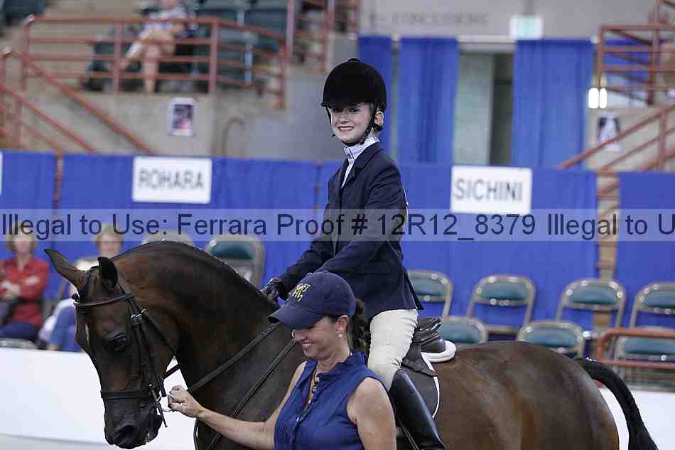 Proof Number 12r12_8379