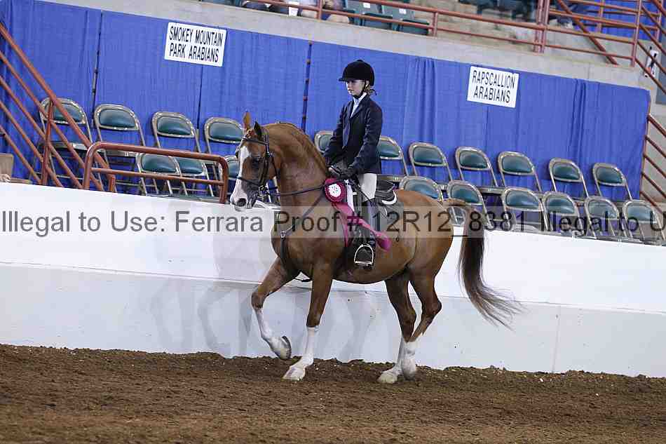 Proof Number 12r12_8381