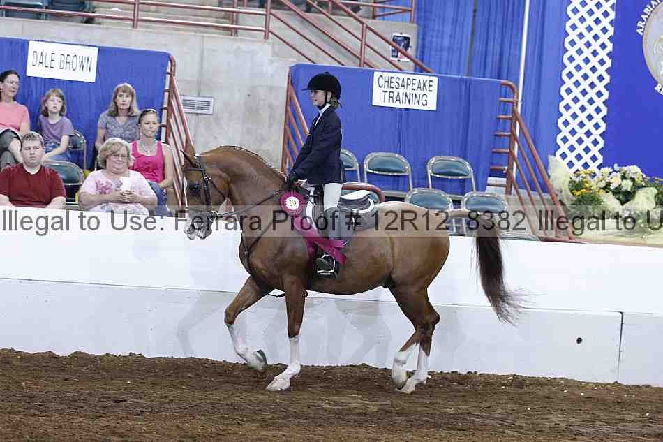 Proof Number 12r12_8382
