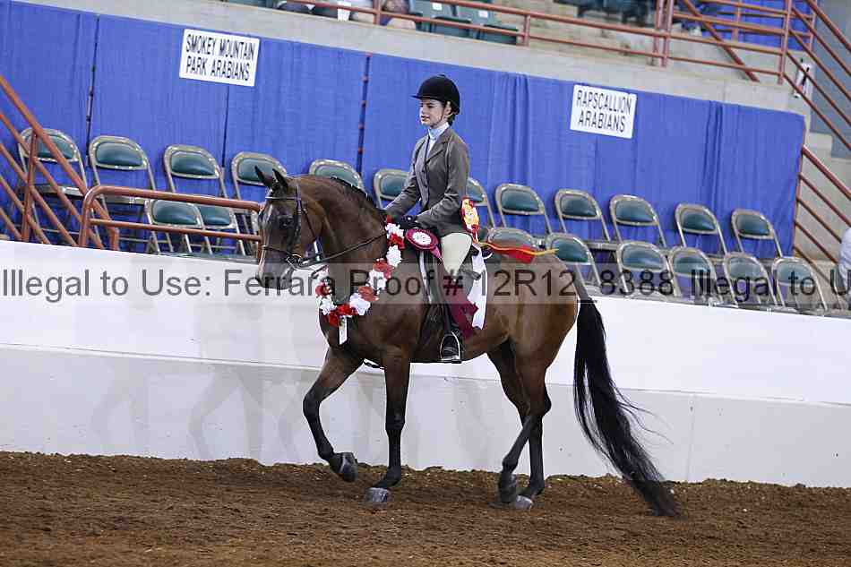 Proof Number 12r12_8388
