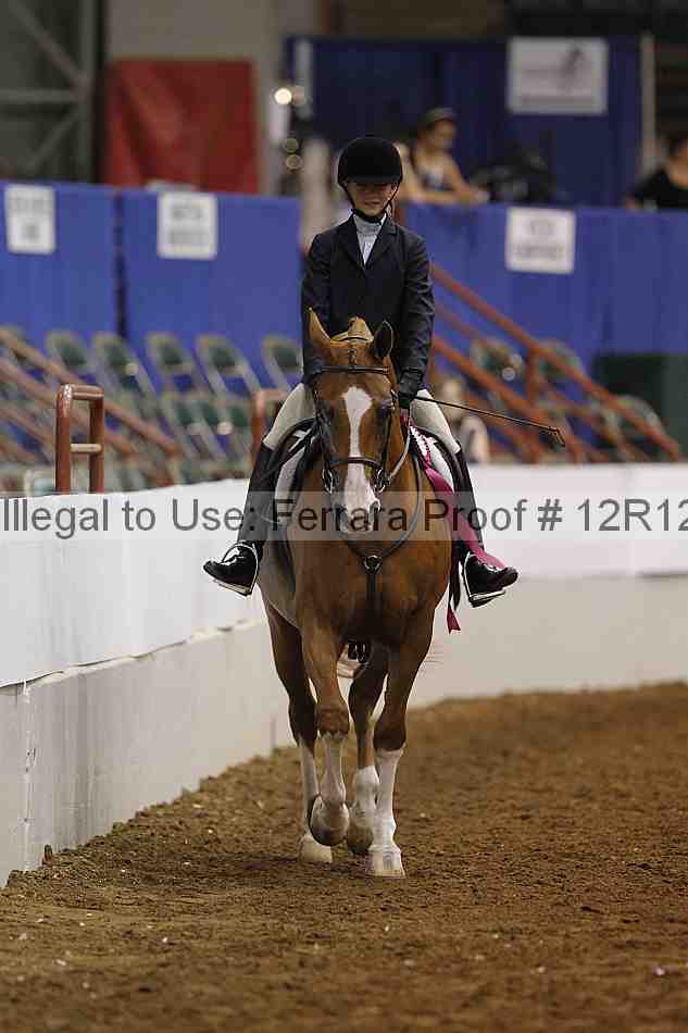 Proof Number 12r12_8391
