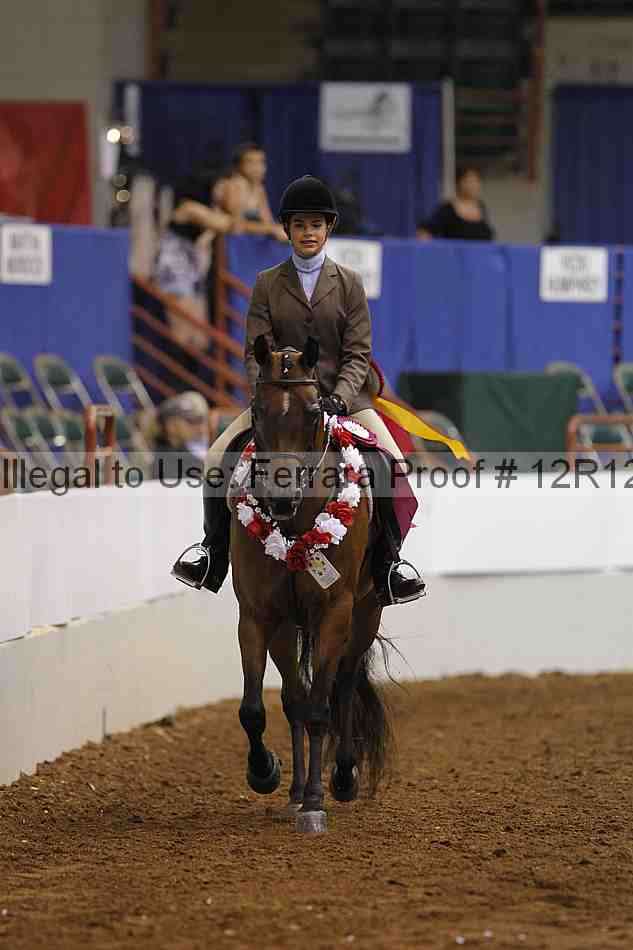 Proof Number 12r12_8392