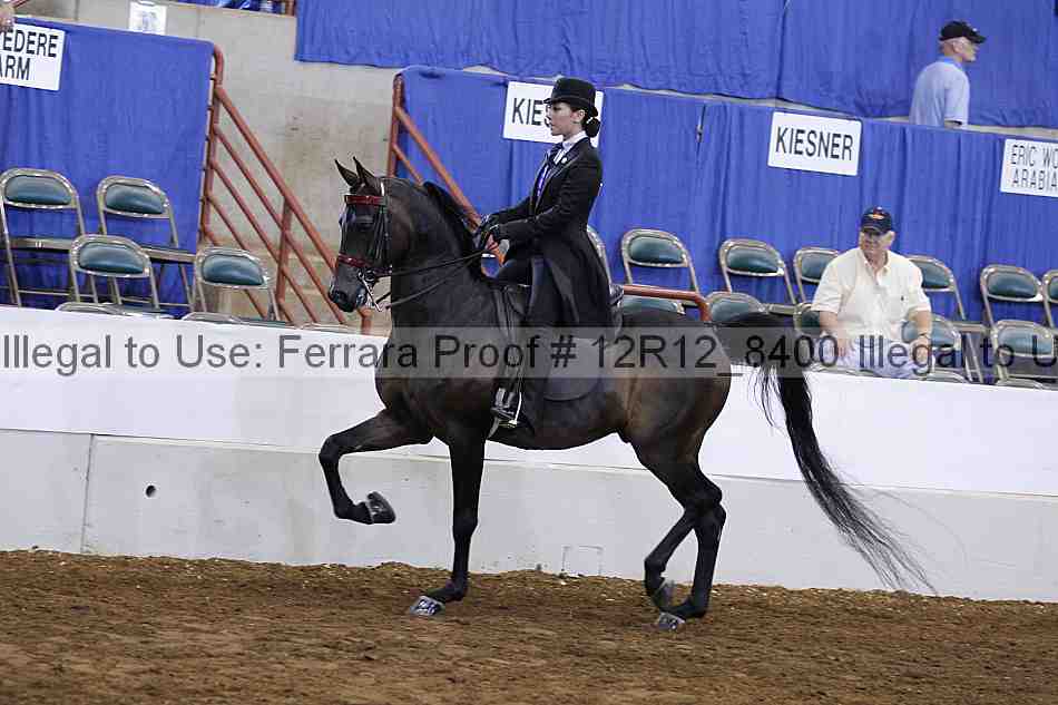 Proof Number 12r12_8400
