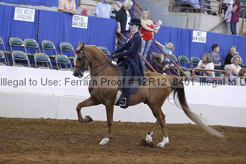 Proof Number 12r12_8401