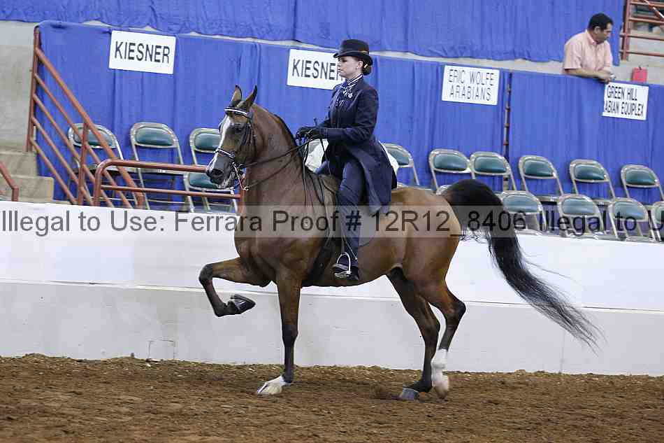 Proof Number 12r12_8406