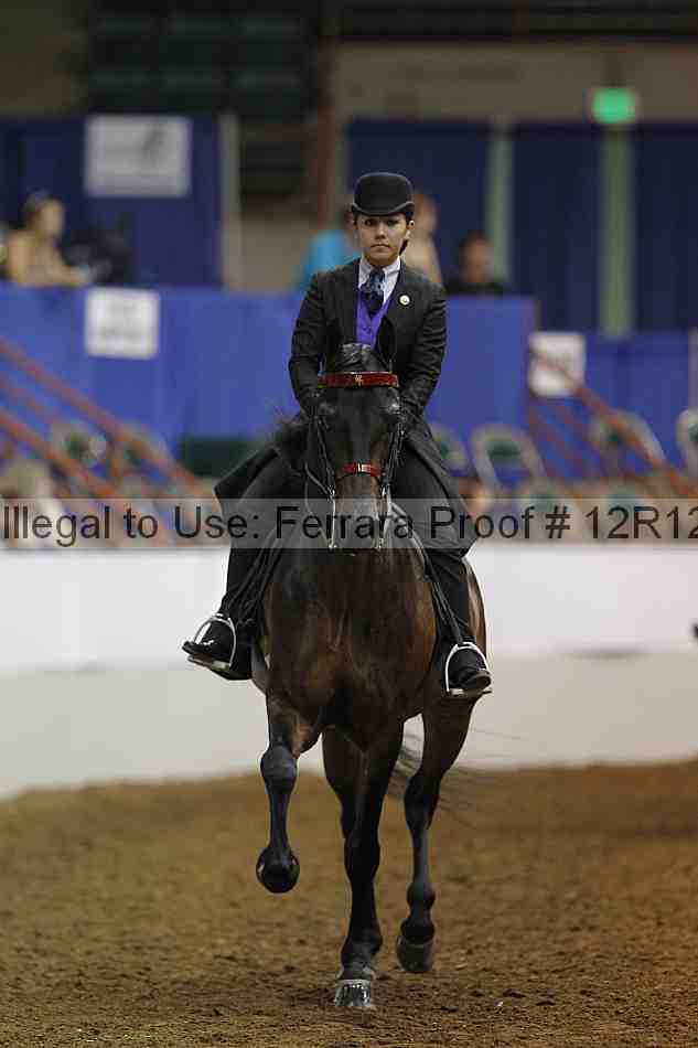 Proof Number 12r12_8413