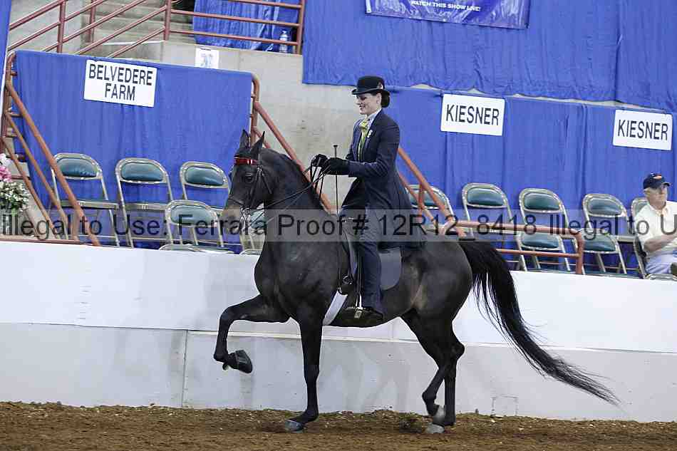 Proof Number 12r12_8418