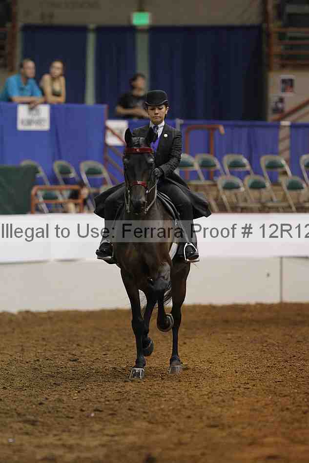 Proof Number 12r12_8421