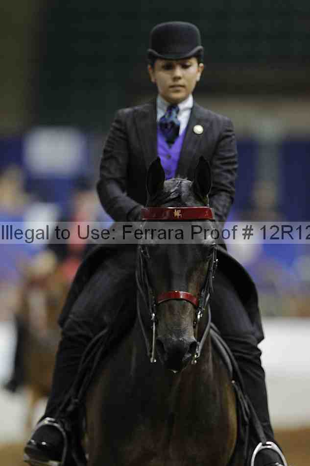 Proof Number 12r12_8422
