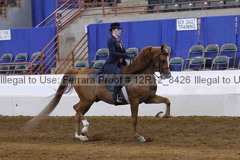 Proof Number 12r12_8426