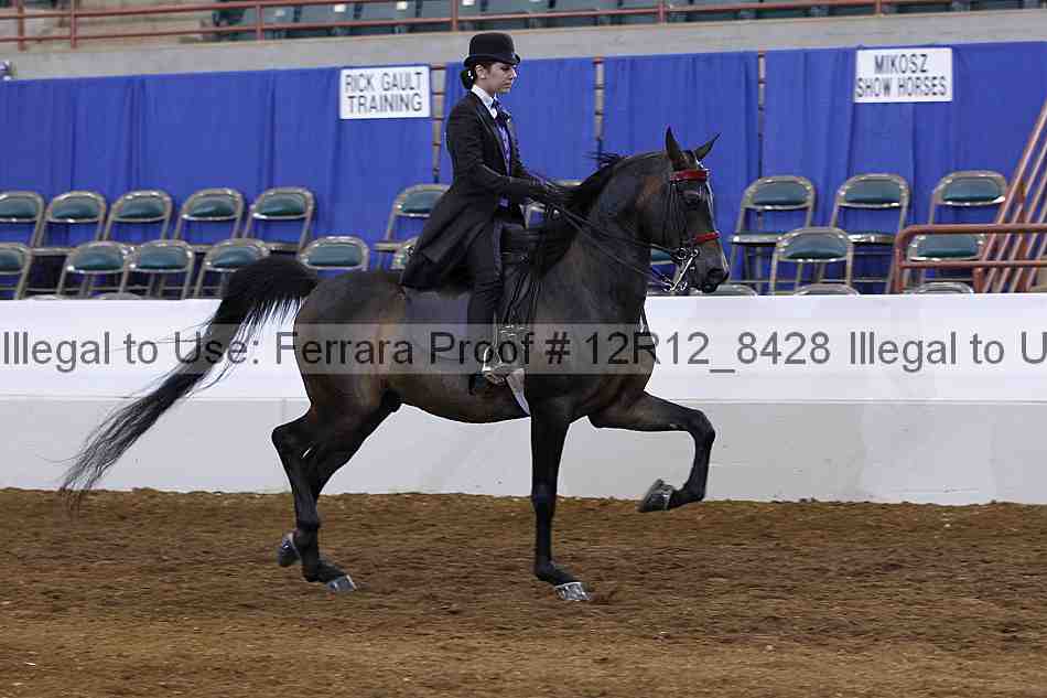 Proof Number 12r12_8428