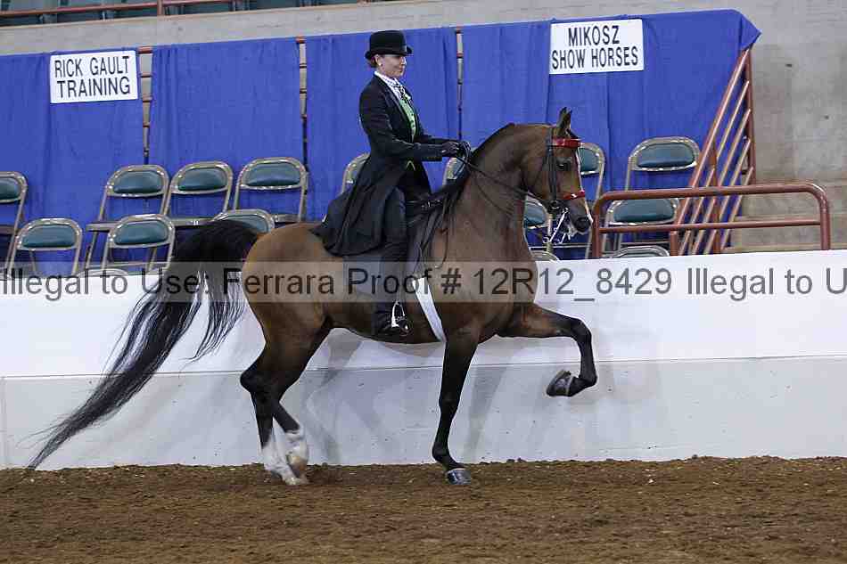 Proof Number 12r12_8429