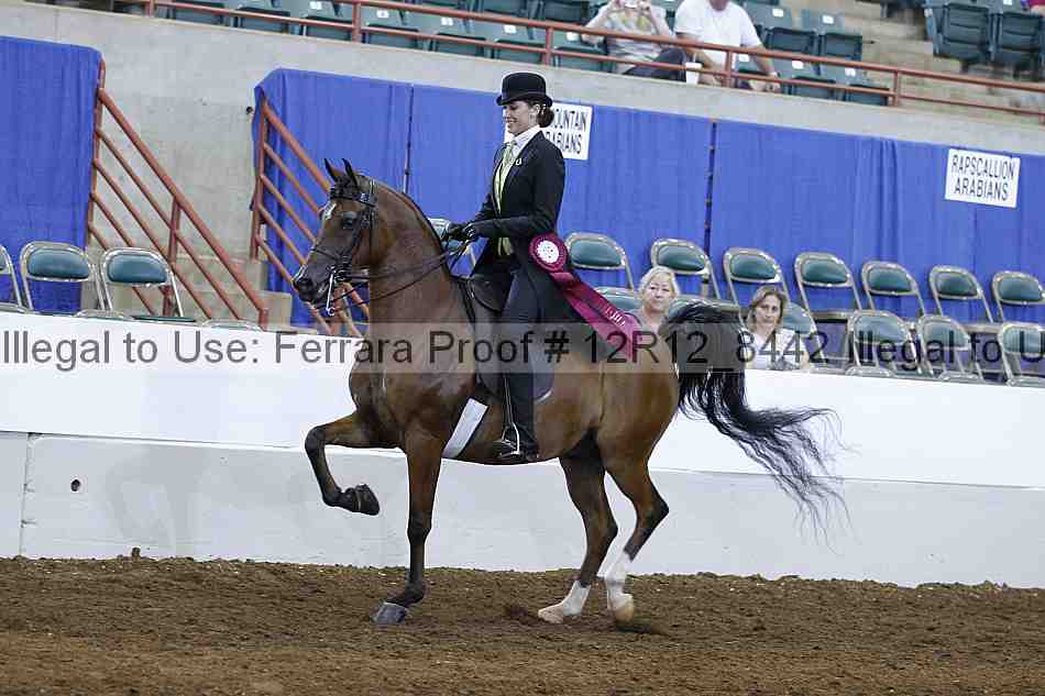 Proof Number 12r12_8442