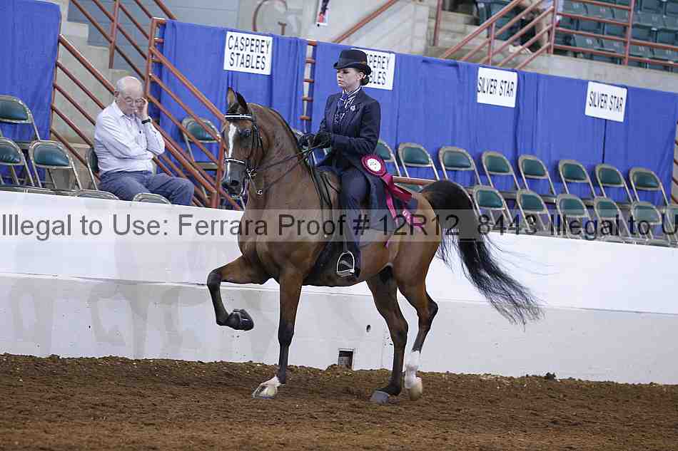 Proof Number 12r12_8443