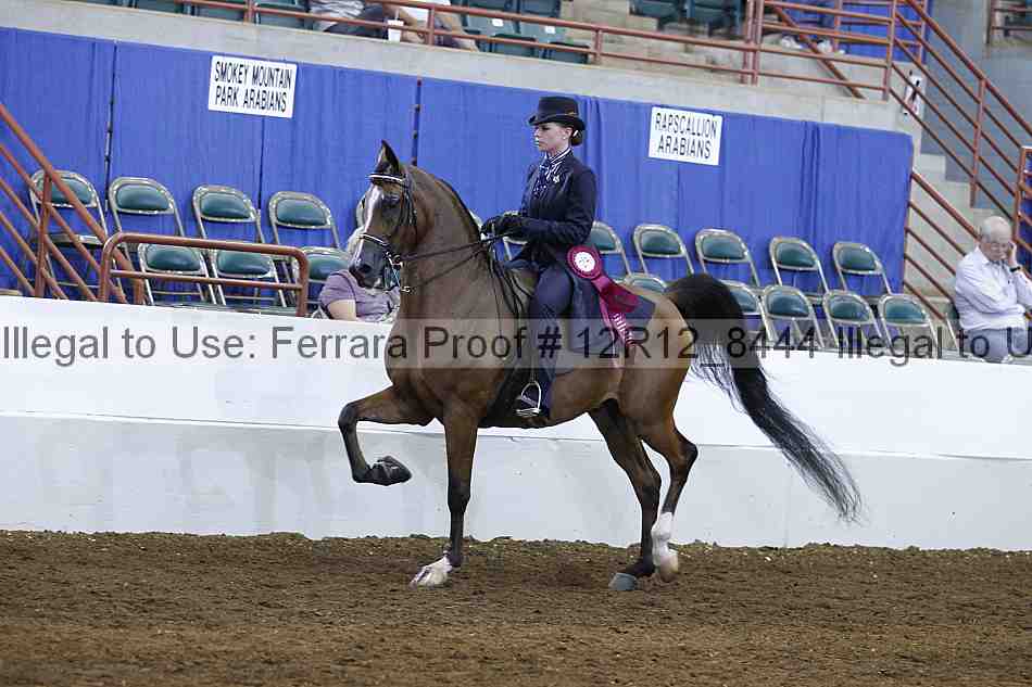 Proof Number 12r12_8444