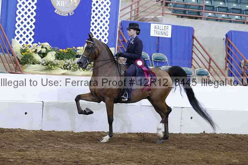 Proof Number 12r12_8445