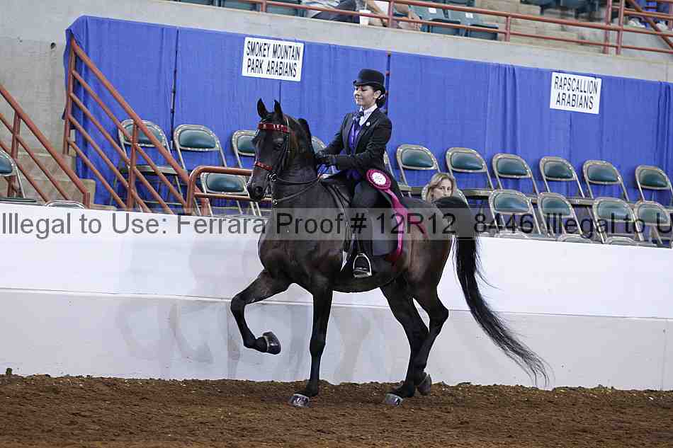 Proof Number 12r12_8446