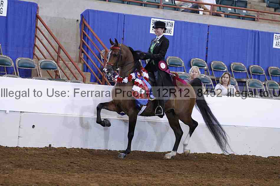 Proof Number 12r12_8452