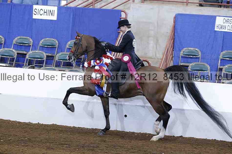 Proof Number 12r12_8453