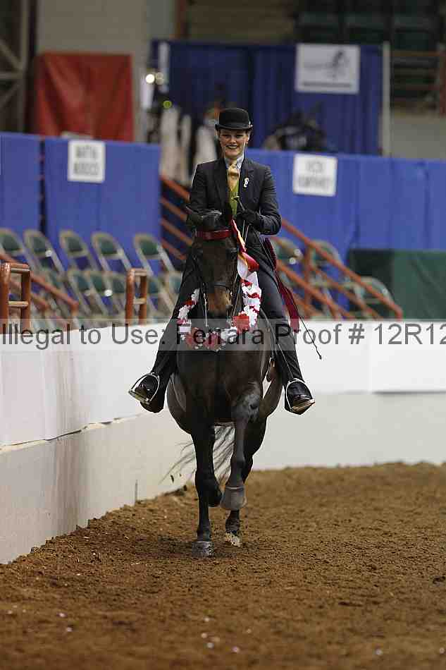 Proof Number 12r12_8456