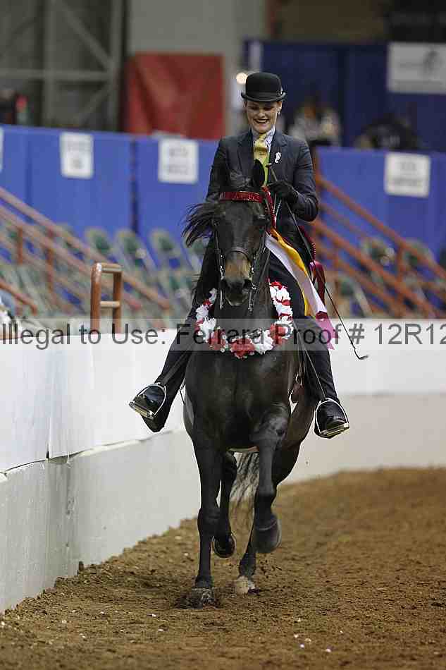 Proof Number 12r12_8457