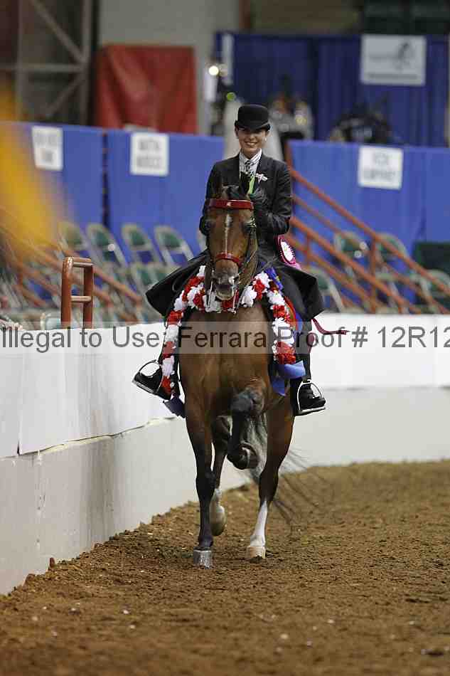 Proof Number 12r12_8458