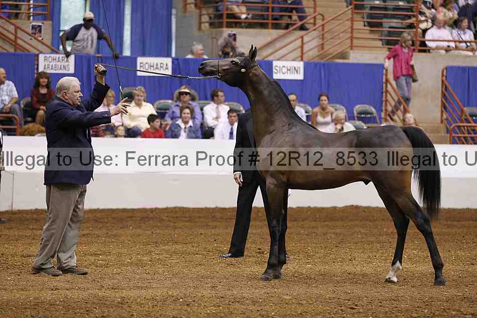 Proof Number 12r12_8533
