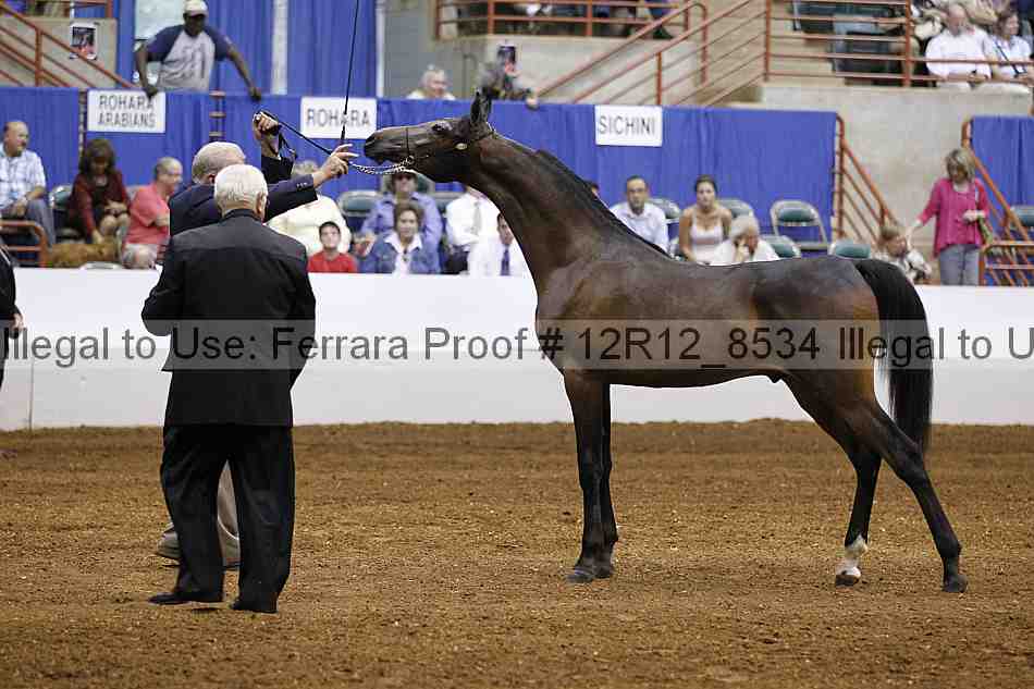 Proof Number 12r12_8534