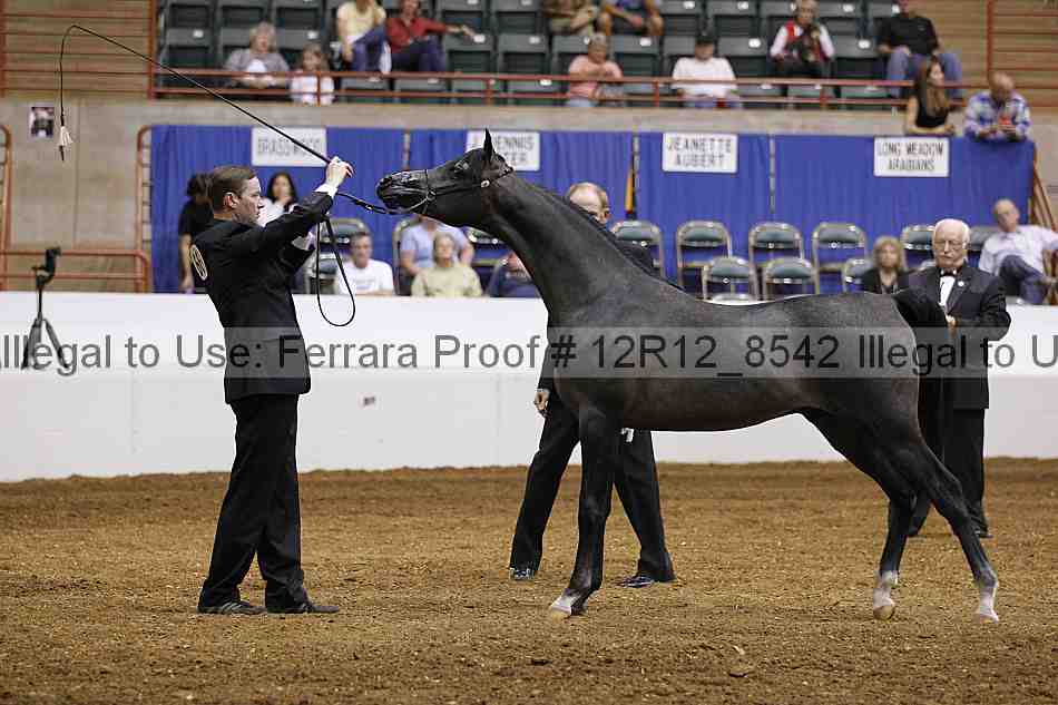 Proof Number 12r12_8542