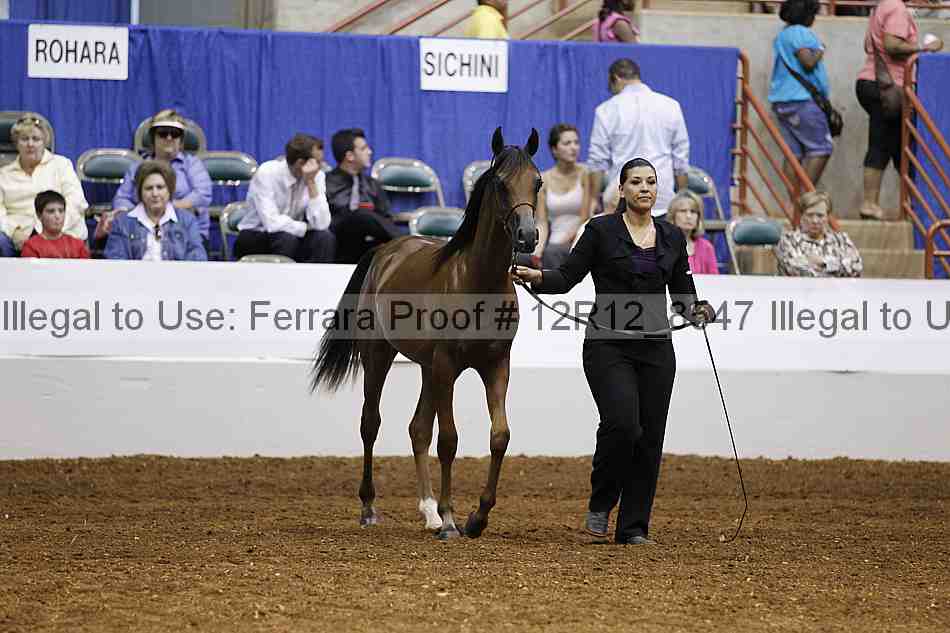 Proof Number 12r12_8547