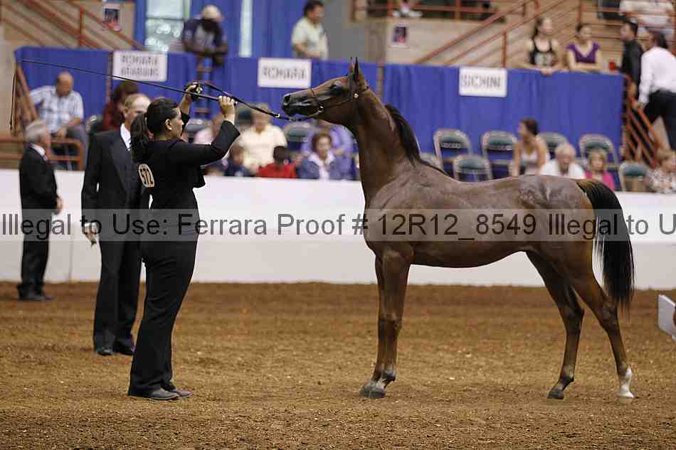 Proof Number 12r12_8549
