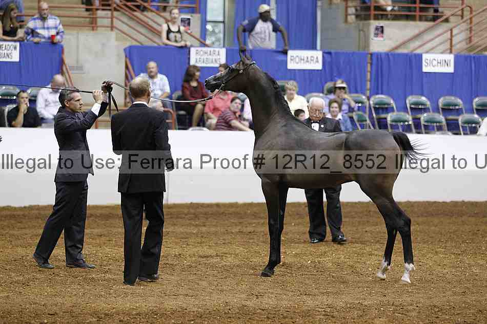 Proof Number 12r12_8552