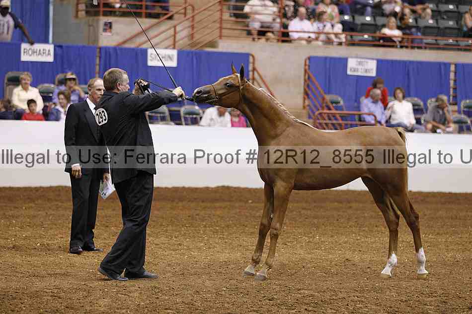Proof Number 12r12_8555