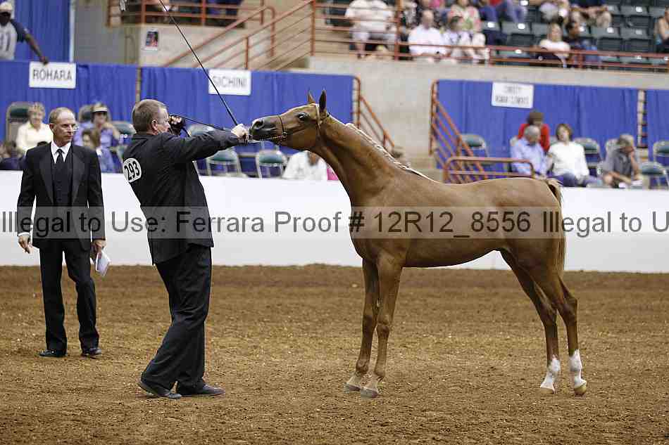 Proof Number 12r12_8556