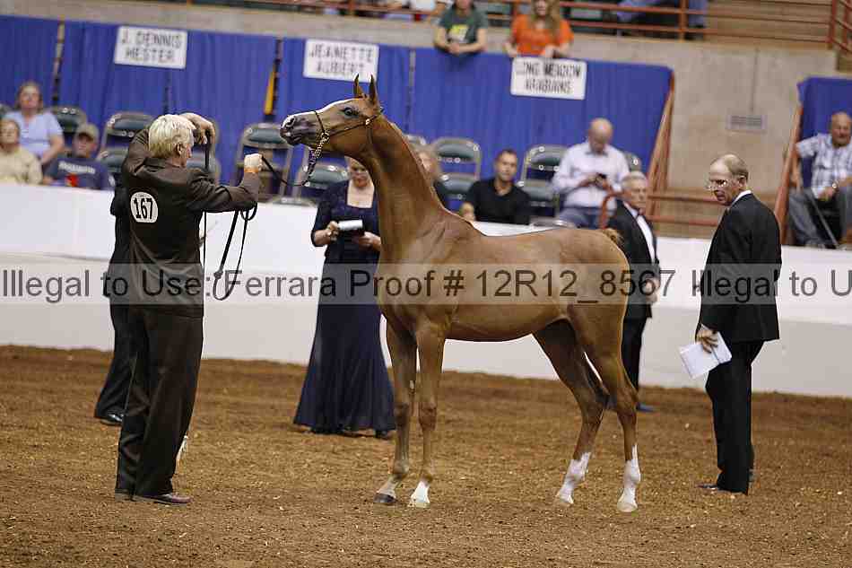 Proof Number 12r12_8567