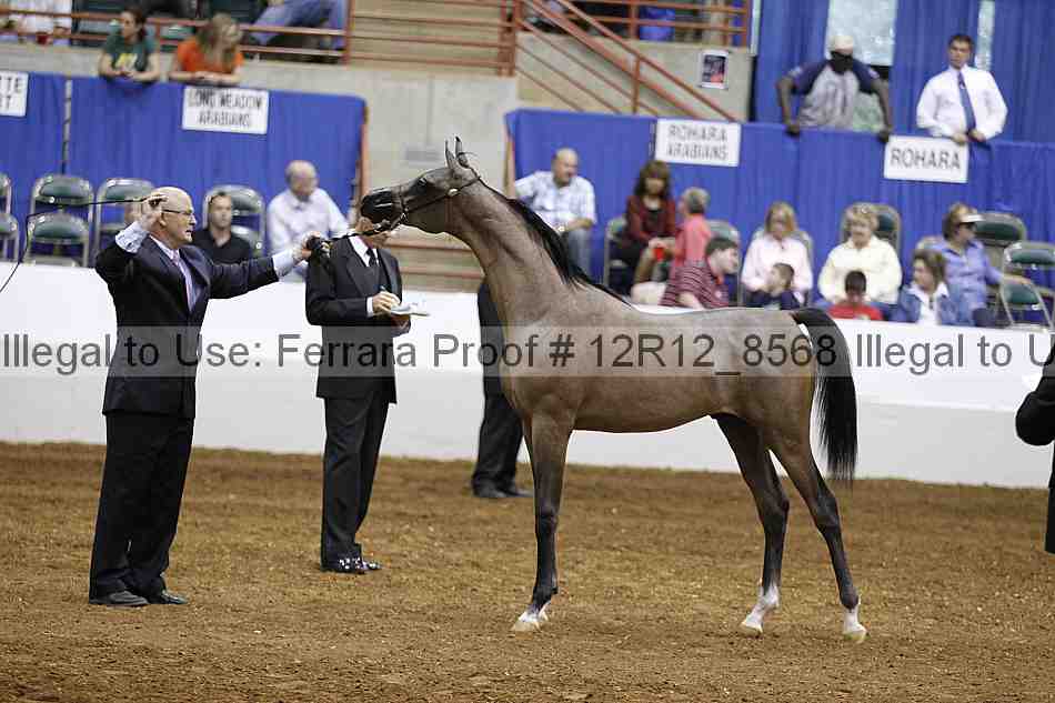 Proof Number 12r12_8568