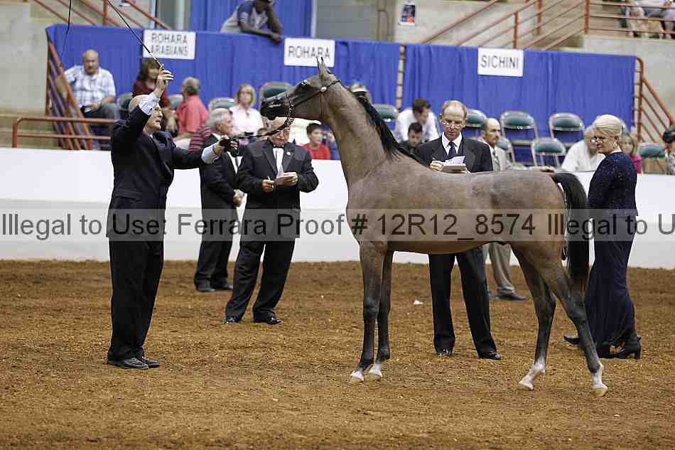 Proof Number 12r12_8574