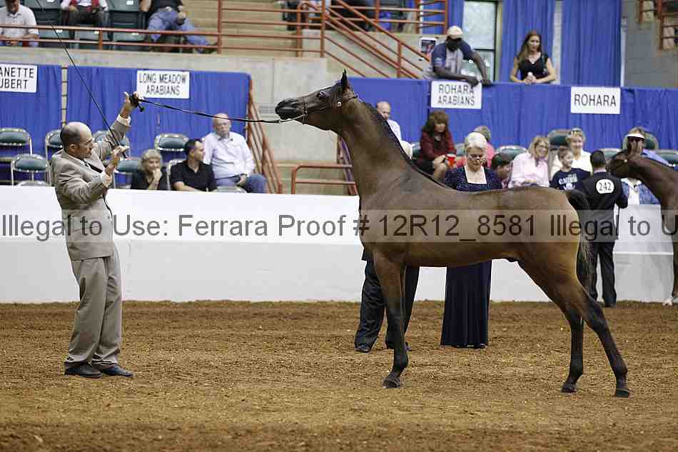 Proof Number 12r12_8581