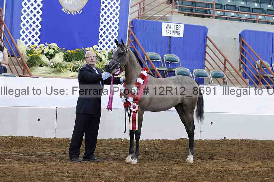 Proof Number 12r12_8591