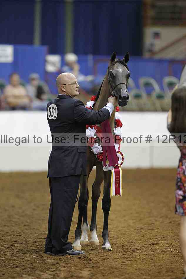 Proof Number 12r12_8592
