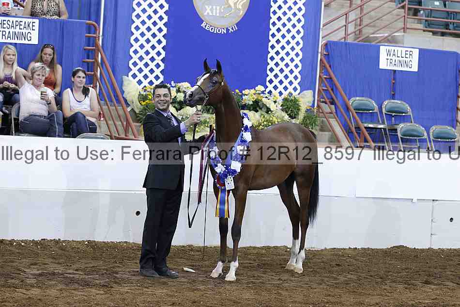 Proof Number 12r12_8597