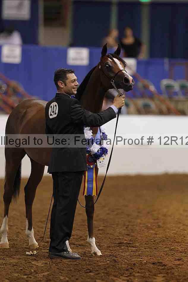 Proof Number 12r12_8600