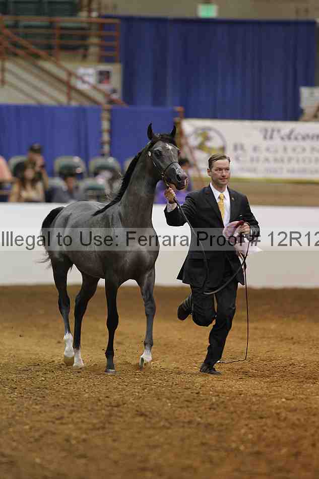 Proof Number 12r12_8605