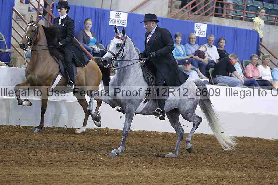 Proof Number 12r12_8609