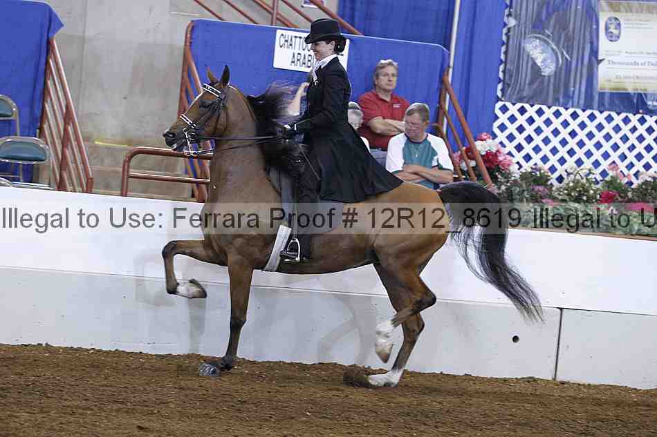 Proof Number 12r12_8619