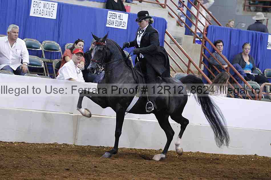 Proof Number 12r12_8624
